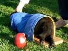 thumbs/2007_03_04_172836_03.jpg.jpg